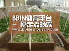 环境展示五
