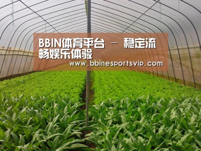 种植基地四