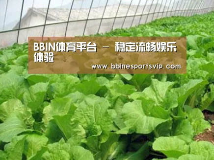 种植基地一