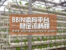 环境展示六