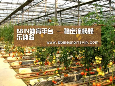 种植基地二