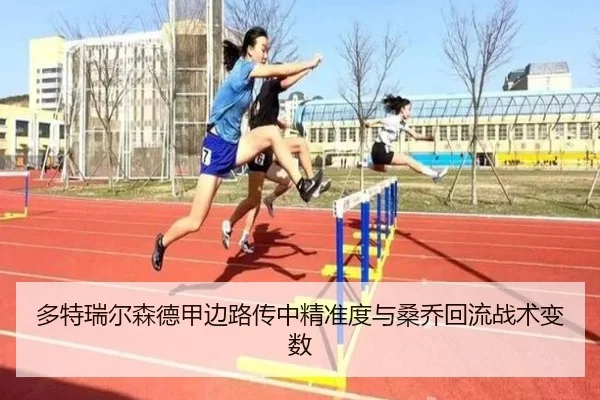 duo-te-rui-er-sen-de-jia-bian-lu-chuan-zhong-jing-zhun-du-yu-sang-qiao-hui-liu-zhan-shu-bian-shu-3-120.jpg
