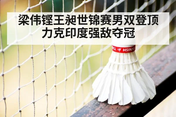 badminton net play close up