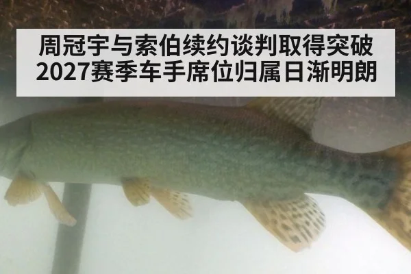 周冠宇与索伯续约谈判取得突破 2027赛季车手席位归属日渐明朗