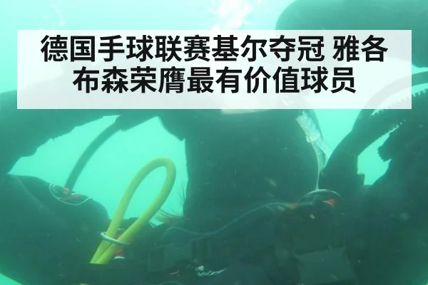 德国手球联赛基尔夺冠 雅各布森荣膺最有价值球员